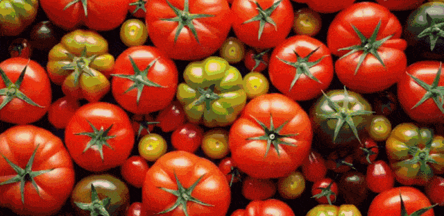 「人民日报」【提醒】青椒和它一起吃，等于“慢性自杀”？！快告诉家人