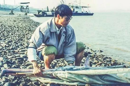 [新民晚报]长江白鲟灭绝后，下一个从地球上消失的是