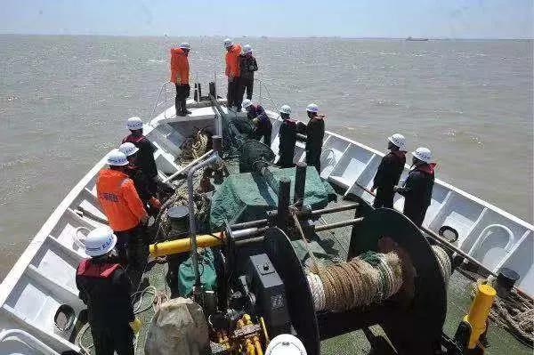 [新民晚报]长江白鲟灭绝后，下一个从地球上消失的是