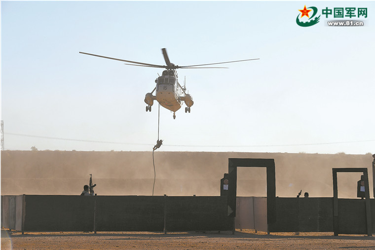 [中国军网]“海洋卫士-2020”中巴海上联合演习结束港岸交流阶段