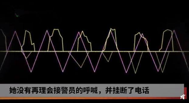 人民网■“110，能调监控帮我找喜欢的男孩吗...”