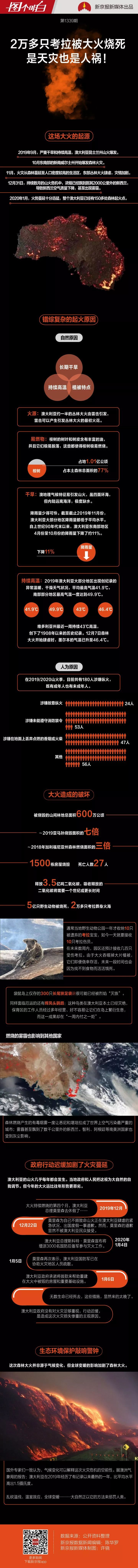 「新京报」2万多只考拉被大火烧死，不止是天灾惹的祸