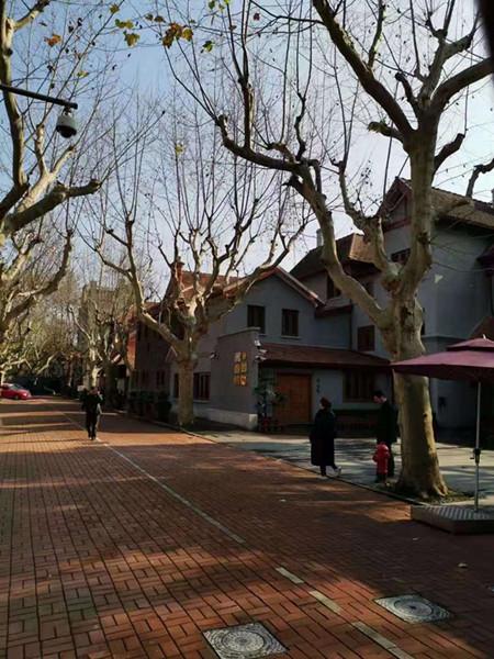 新民网：阅读街区｜香山路上的“邻居”