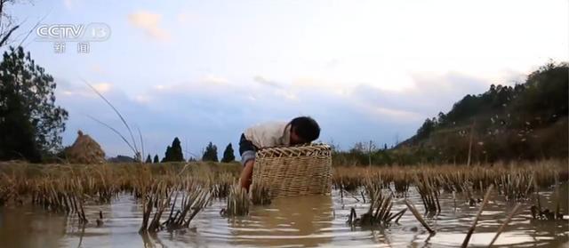 #上观新闻#列车长还能“带货”？这趟火车上挂着价目表