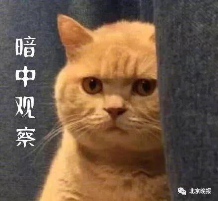 上观新闻@北京“某守法”，违法了