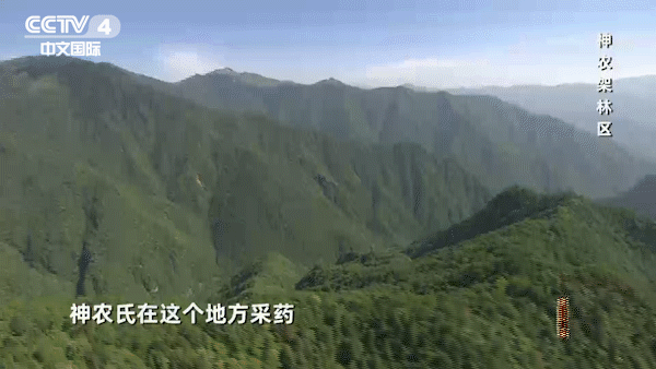 「央视一套」一地一名皆是景，《中国地名大会》带您遨游祖国大好河山！