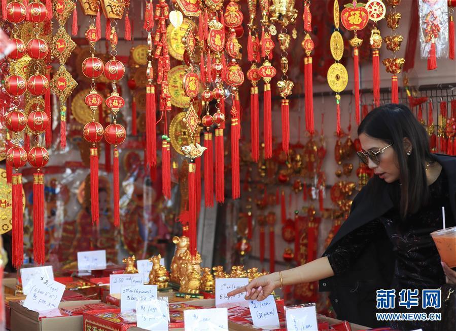 新华网：美国奥兰治县举行农历新年花市