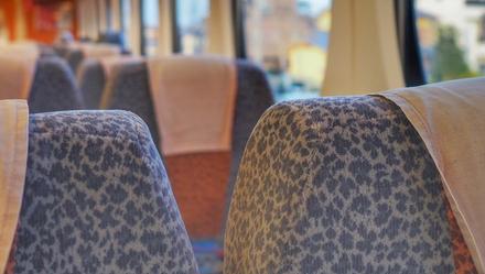 「上观新闻」交通运输部：严肃处理客车司机伙同黑店宰客乱象