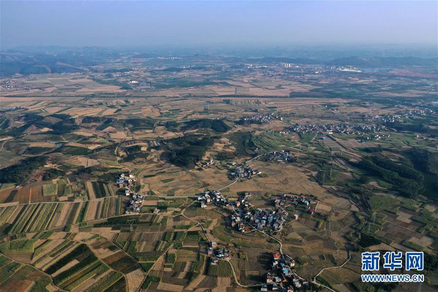 广西鹿寨:田园冬景