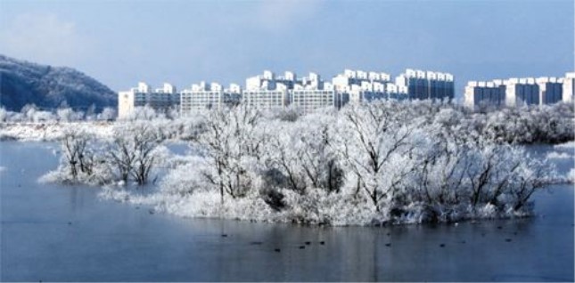 【文汇报】新中国第一劫机大案：下毒，开枪，六名暴徒迫使载有105人的民航客机强行降落韩国军用机场
