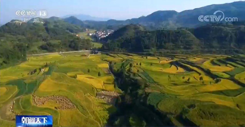 央视新闻客户端@53个国土调查不实典型案例公开通报 第三次全国国土调查预计今年完成