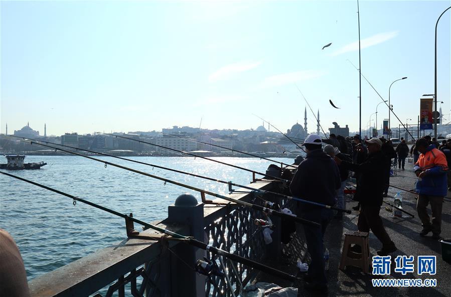 「新华网」伊斯坦布尔：冬日垂钓
