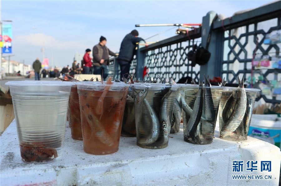 「新华网」伊斯坦布尔：冬日垂钓