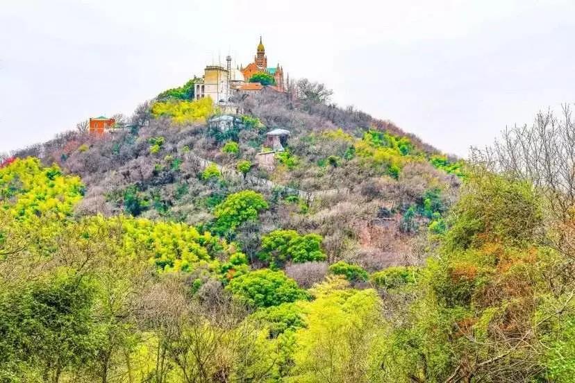 吴梅村《九峰诗九首》其一《凤凰山》云:" 碧树丹山千仞冈,夫差亲猎