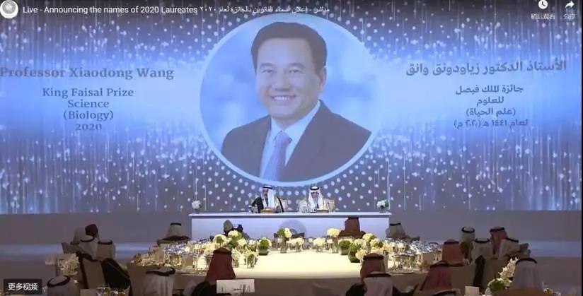 「文汇报」笑到头掉！“双料院士”王晓东领舞跳Monica，网友：简直是科研界跳舞的扛把子