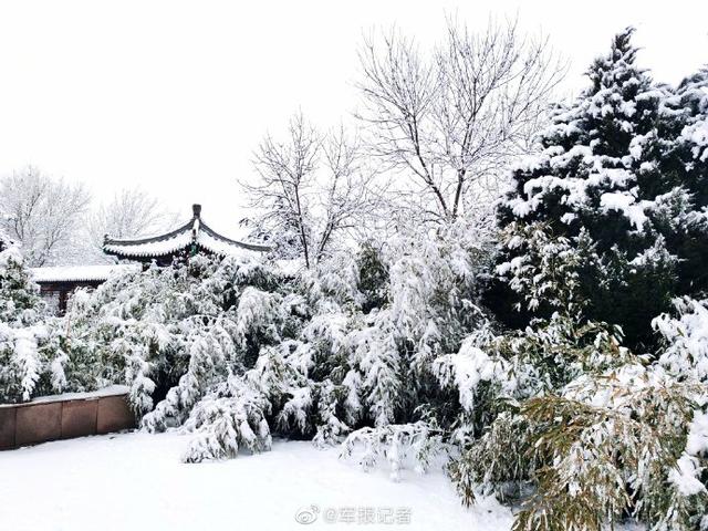 中国军网■美！当军校“邂逅”一场银装素裹