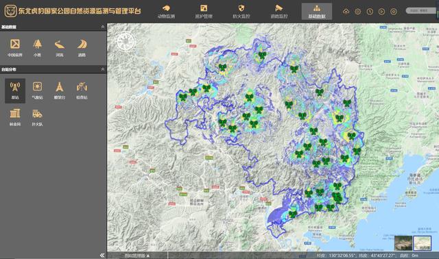 「澎湃新闻」林草局：东北虎豹国家公园“天地空一体化监测系统”中试开通