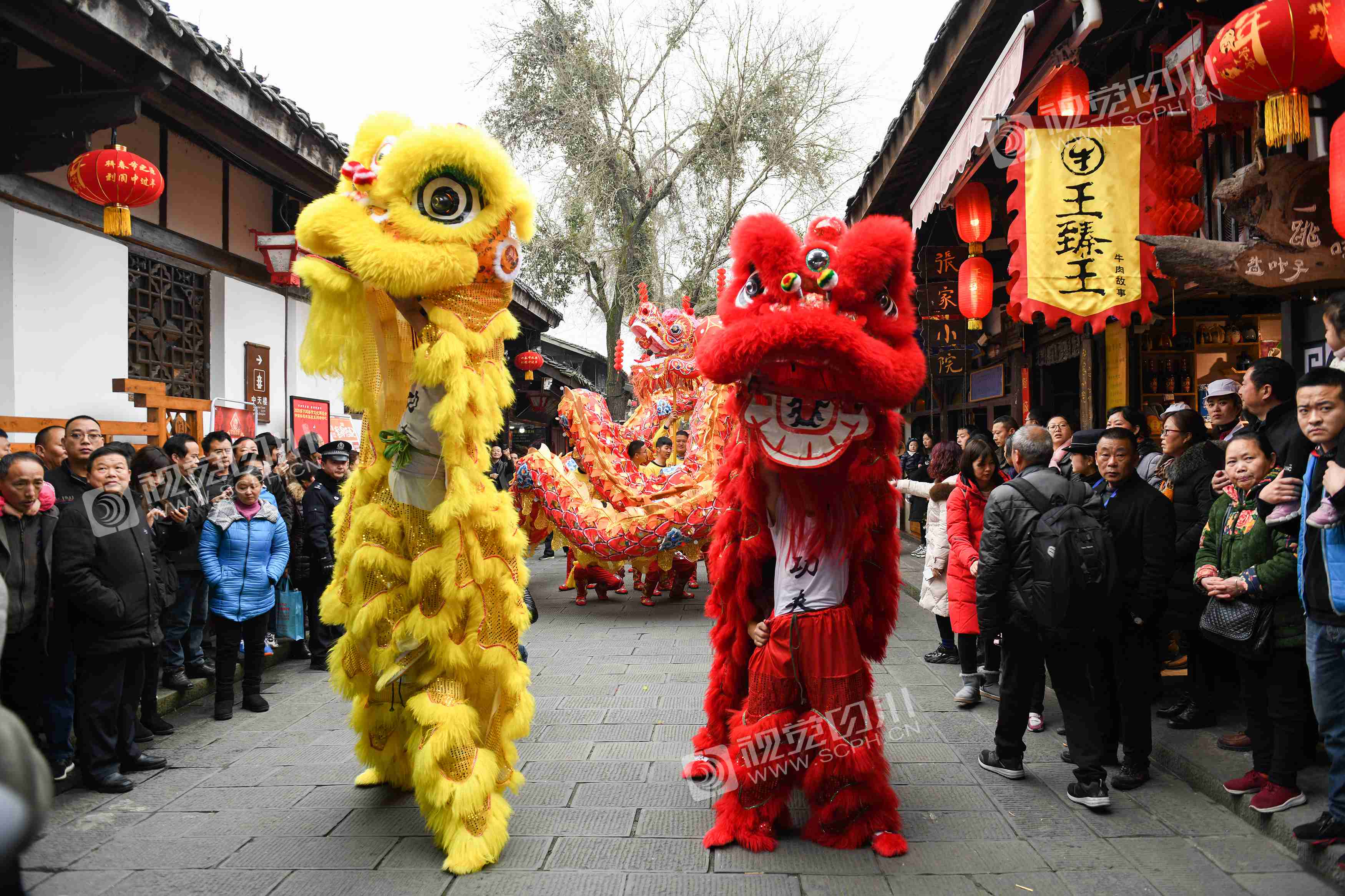 龙腾狮跃 阆中古城闹新春