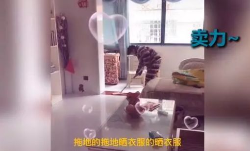 文汇报：妈妈睡到11点，儿子早起做饭：放寒假的好像是我妈