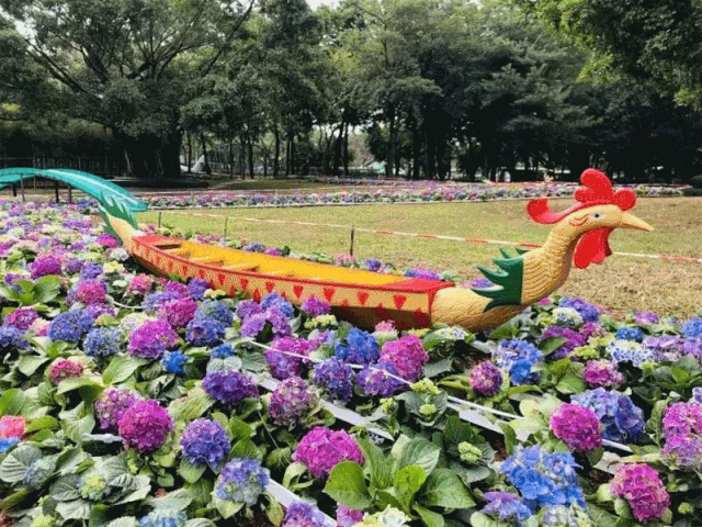 「南海发布」亮点剧透！2020南海迎春花市明起迎客（附各镇街花市交通指引）