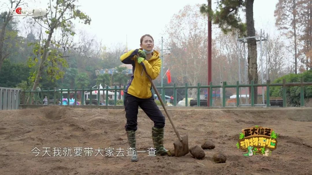 央视一套■全国首例！10岁高龄袋鼠奶奶装假牙！