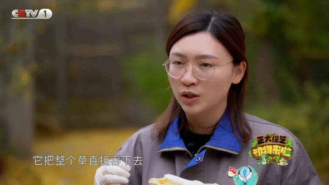 央视一套■全国首例！10岁高龄袋鼠奶奶装假牙！