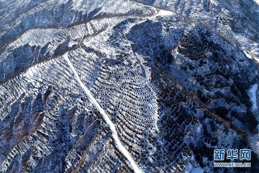 【新华网】黄土高原 雪后银装