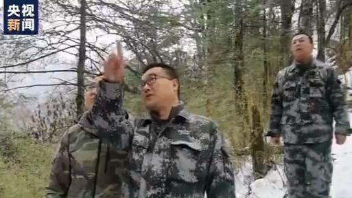 「央视新闻客户端」大熊猫宝宝开始分班学习 还用上了“熊脸识别”系统