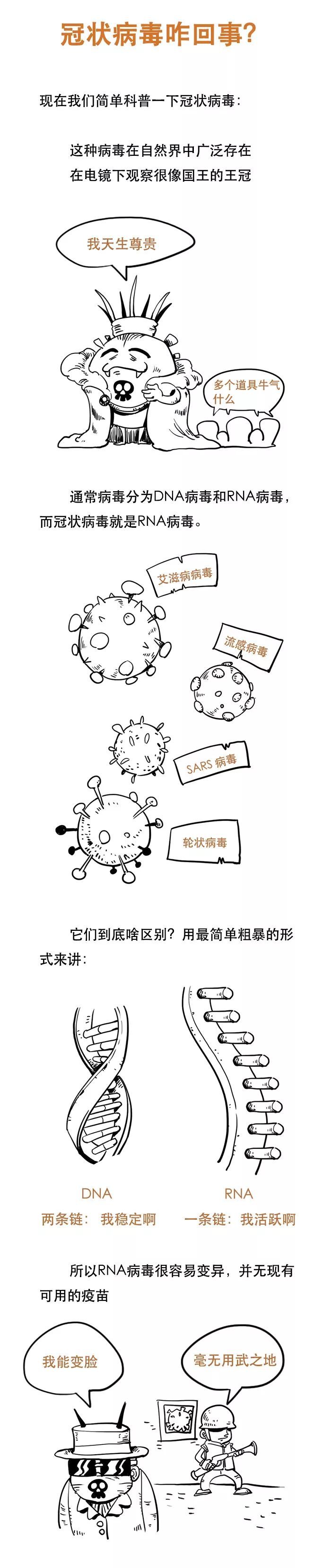 中国网：漫画看懂新型冠状病毒肺炎 可防！可控！可治！