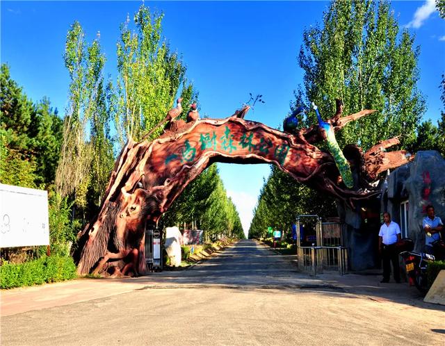 一马树森林公园