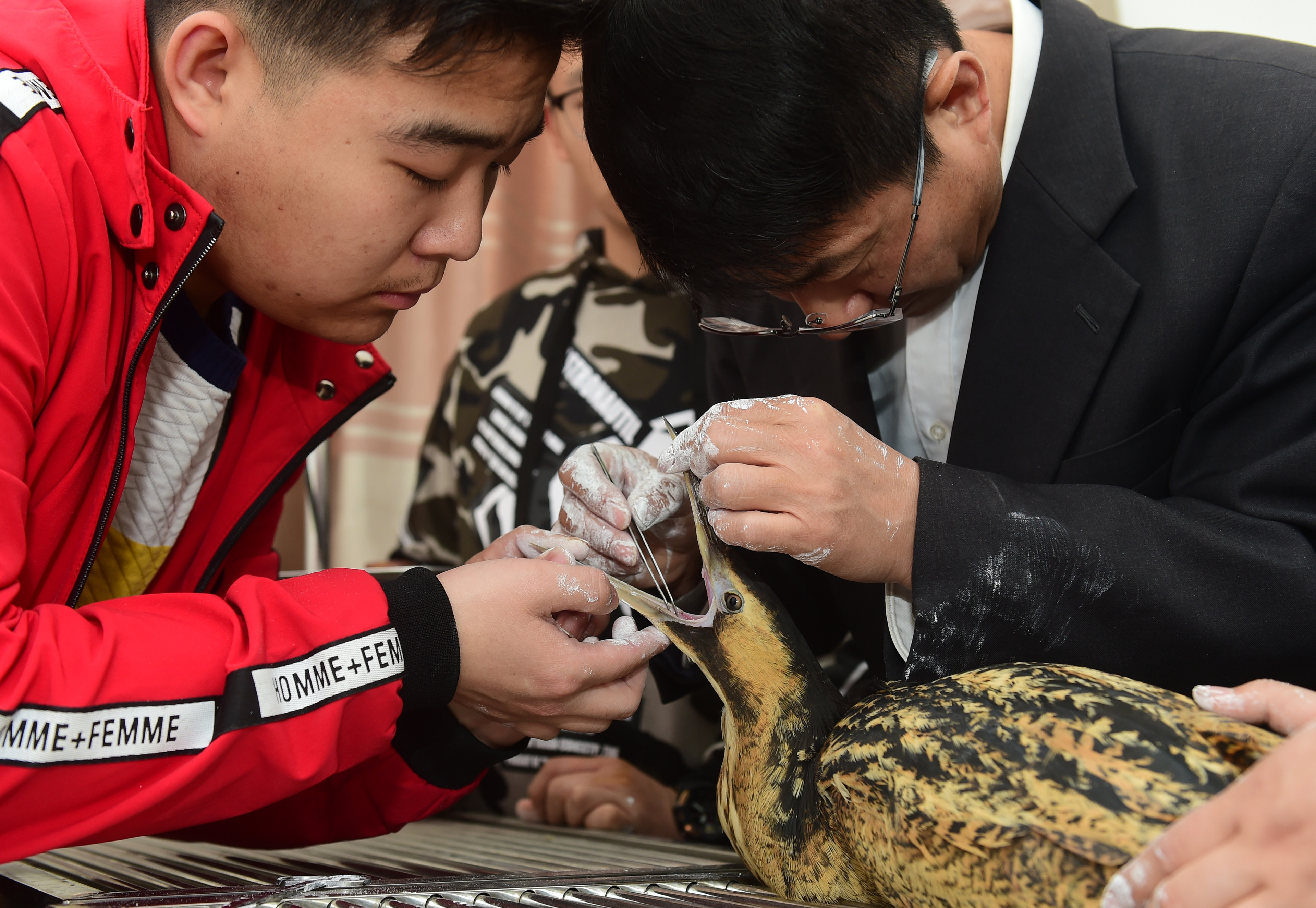 「每日经济新闻」专访广东药科大学教授陈思东：近50年新发传染病超六成源于动物，“野味”更滋补没科学依据