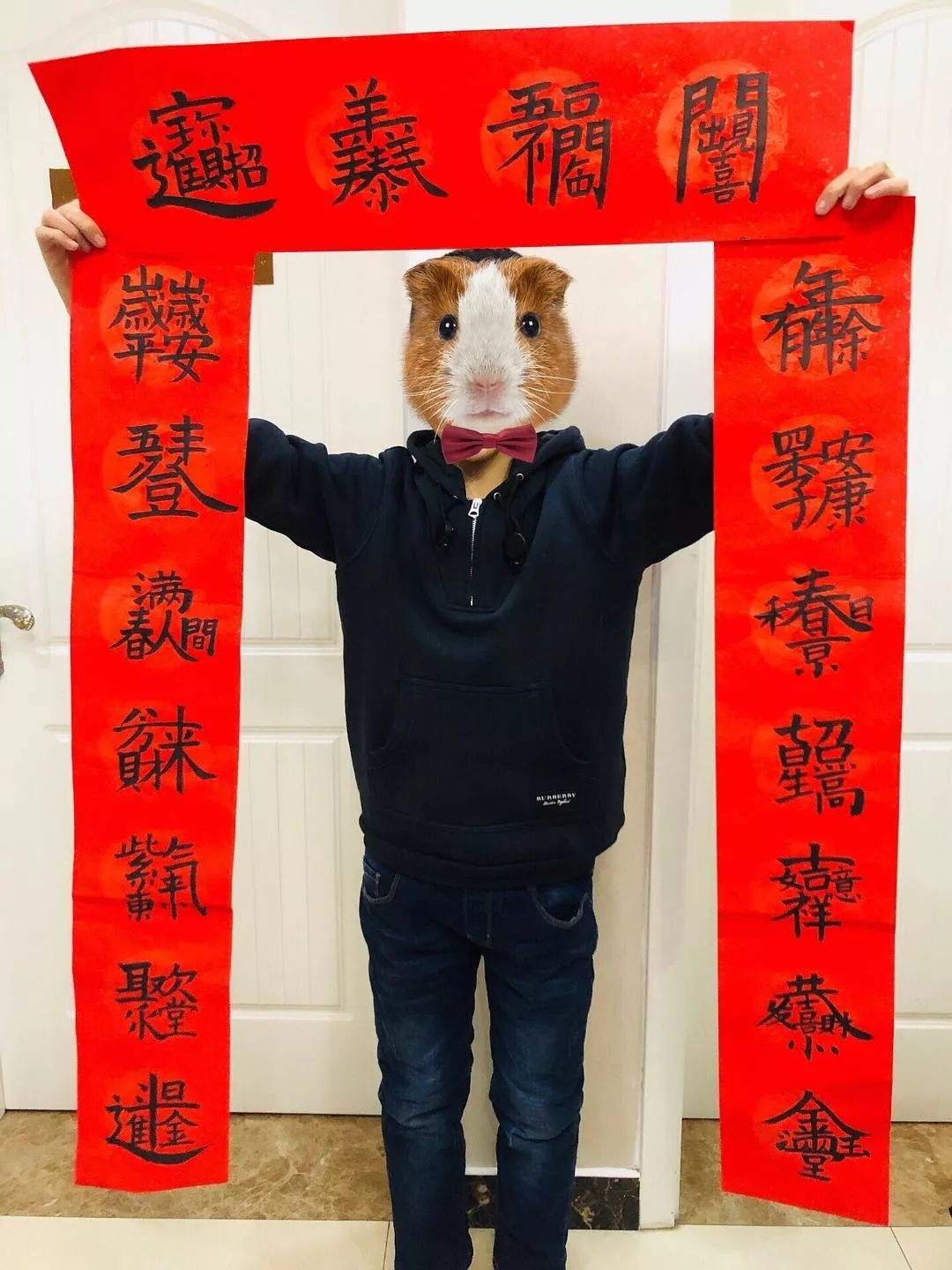 「共青团中央」“胖胖还没去健身，等等仍在写论文”终于有人对春联“下手”了……