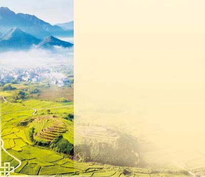 [人民日报]乡村，大好年景