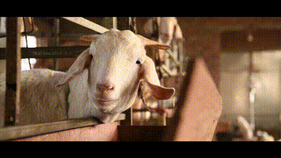 新华社■这些人的年味，有何不一样？