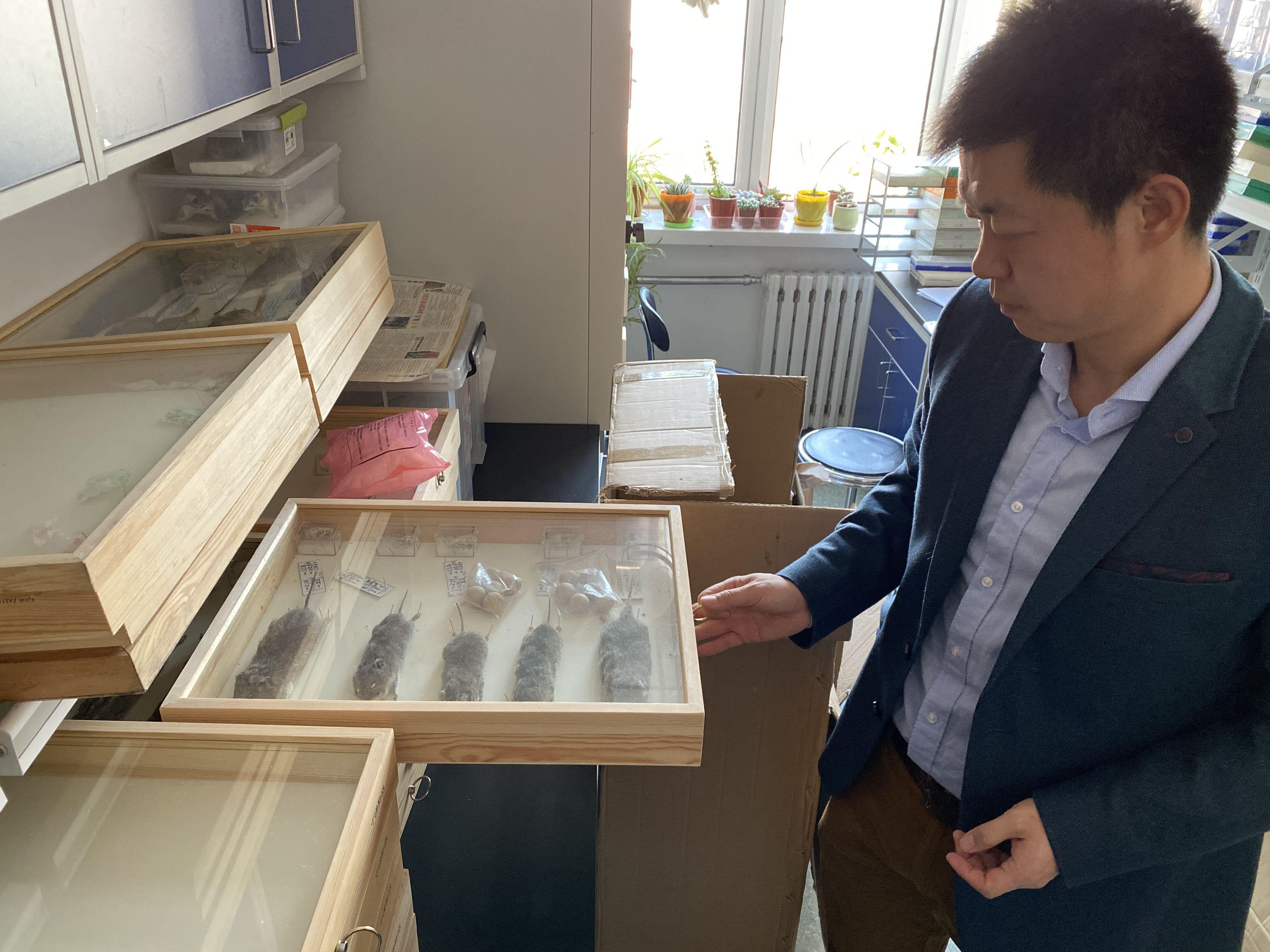 新京报：鼠害课题组专家：近期家里发现老鼠要立刻扑杀