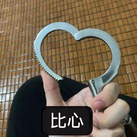 「中国警察网」什么？搞宣传的？你不是当警察的吗？！