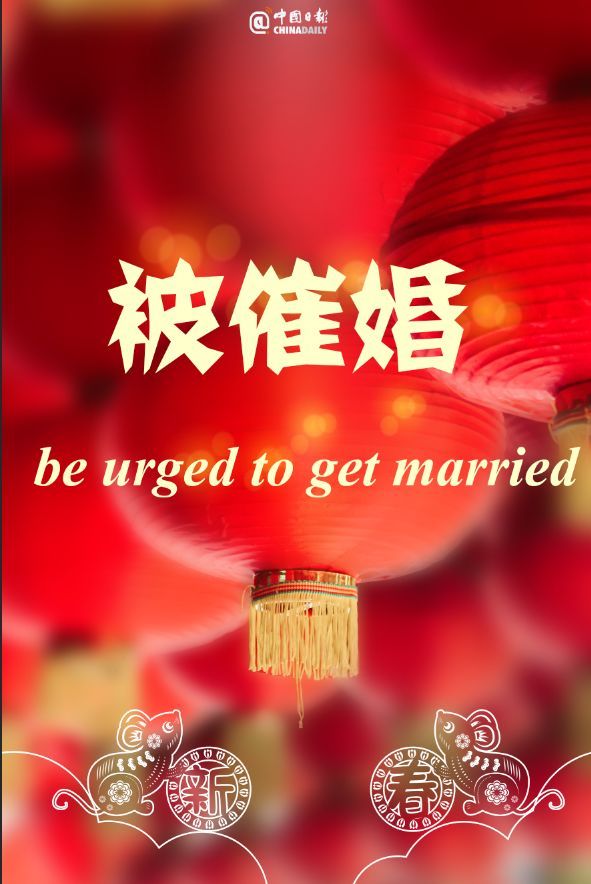 「中国日报」你家过年有什么活动？