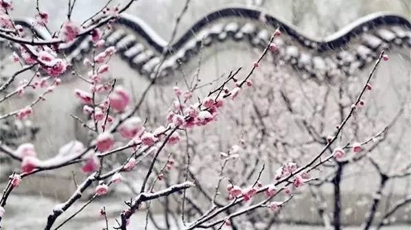 #中国气象局#文艺作品里话团圆 | 春节特辑