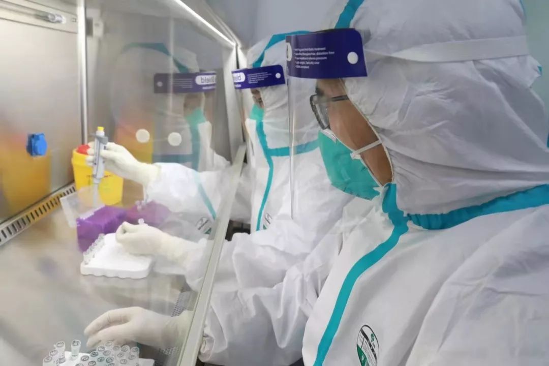 【湖北日报】最快2个小时可出确诊结果！
