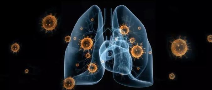 #文汇报#实时追踪 | 上海医疗救治专家组组长张文宏：历史上从未有过的对决：超级疫情Vs. 举国之力