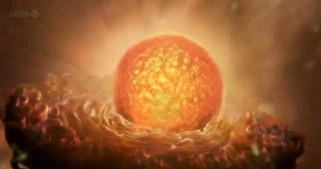 文汇报■这部BBC纪录片告诉你，新型冠状病毒是如何入侵的