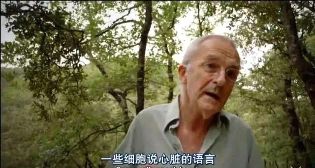 文汇报■这部BBC纪录片告诉你，新型冠状病毒是如何入侵的