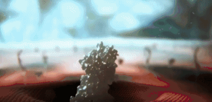 文汇报■这部BBC纪录片告诉你，新型冠状病毒是如何入侵的