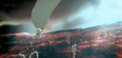 文汇报■这部BBC纪录片告诉你，新型冠状病毒是如何入侵的