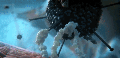 文汇报■这部BBC纪录片告诉你，新型冠状病毒是如何入侵的