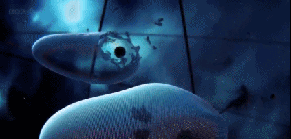 文汇报■这部BBC纪录片告诉你，新型冠状病毒是如何入侵的