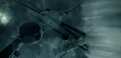 文汇报■这部BBC纪录片告诉你，新型冠状病毒是如何入侵的