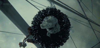 文汇报■这部BBC纪录片告诉你，新型冠状病毒是如何入侵的