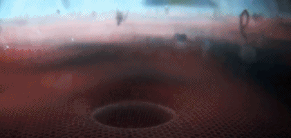 文汇报■这部BBC纪录片告诉你，新型冠状病毒是如何入侵的