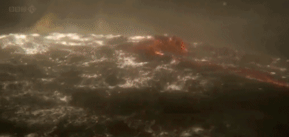 文汇报■这部BBC纪录片告诉你，新型冠状病毒是如何入侵的